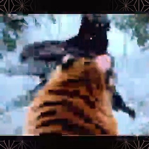 Action movies