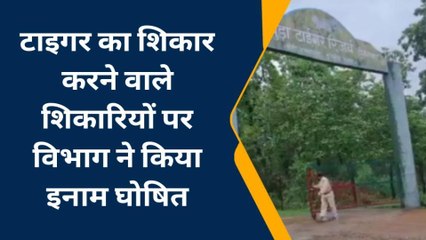 नर्मदापुरम: बाघ का शिकार करने वाले शिकारियों पर 25 हजार का इनाम घोषित