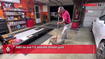 ABD’de eve 1.5 metrelik timsah girdi