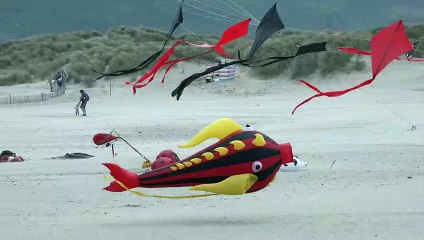 Erfyl Lloyd Davies went to Barmouth Kite Festival