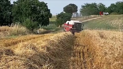 Biçerdöverlerin peşine takılan leylekler böyle görüntülendi