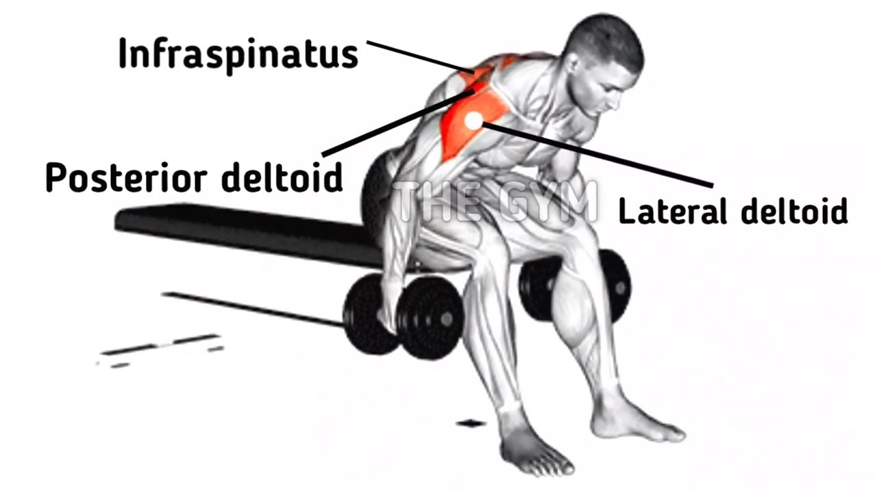 6 Effective Shoulder Exercises To build 3D Bigger Shoulders