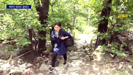 북한산 정상 검게 물들인 러브버그…“발 딛기도 힘들어”