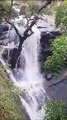 माउंट आबू की झमाझम बारिश से बदली फिजा, नक्की झील व लोअर कोदरा बांध में चली चादर, मौसम का आनंद लेने उमड़े पर्यटक-VIDEO