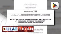 Paglalagay ng dog station sa bawat shopping mall, isusulong