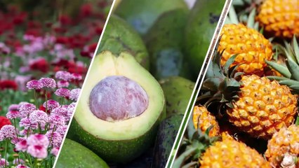 Le Talk : Revivez l'émission du lundi 3 juillet 2023