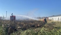 Polis fark etti, 50 dönümlük buğday ekili arazinin yanması önlendi
