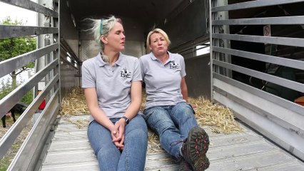 Support group using SHEEP to help people improve their mental health