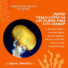 |MANUEL OBRADORS| ¡MAYOR TRANSLUCIDEZ EN PLAYAS PARA ESTE VERANO! (PARTE 2) (@MANUELOBRADORS)