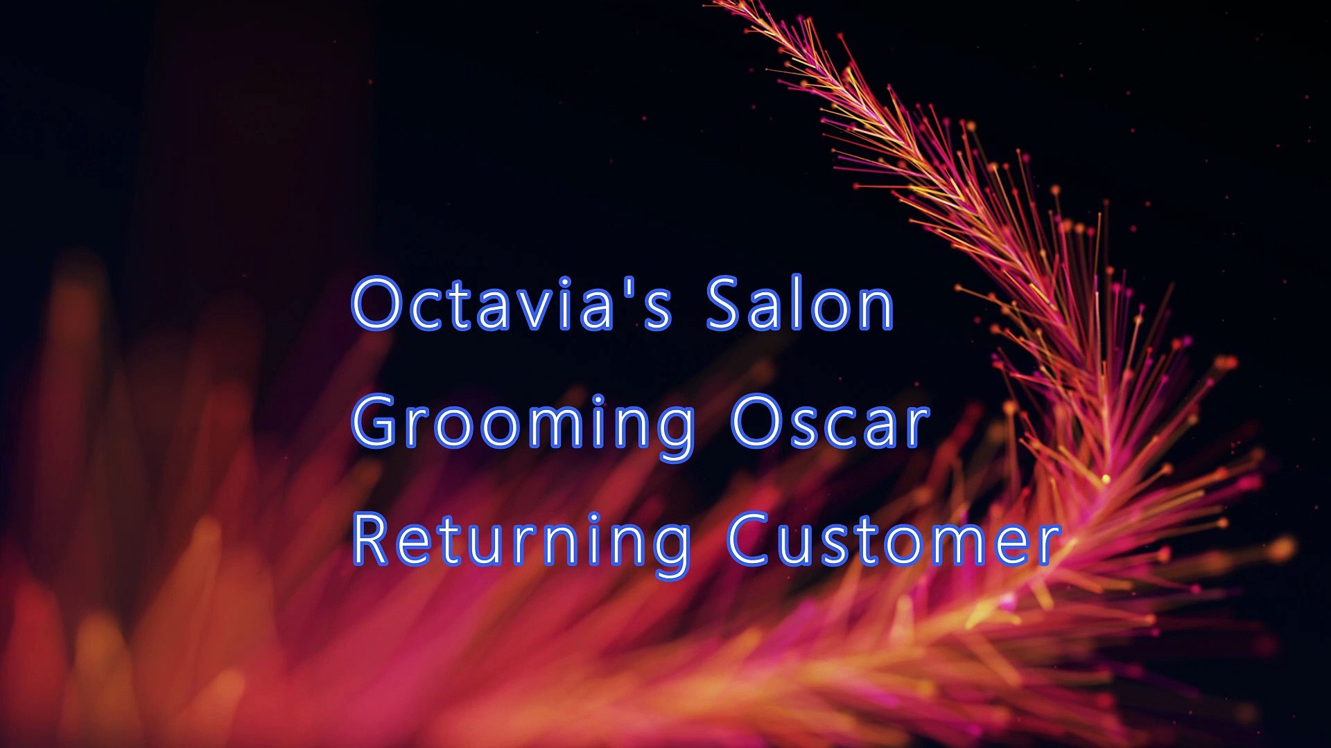 ⁣Octavia's Salon Grooming Oscar Returning Customer