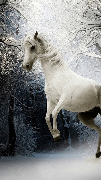 Mind-Blowing Horse Facts Unveiling Evolution