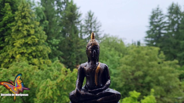 Meditación guiada para principiantes