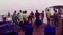 नीमच: गांधी सागर डैम से पकड़ी मछ्ली,पुलिस ने आरोपियों को किया गिरफ्तार