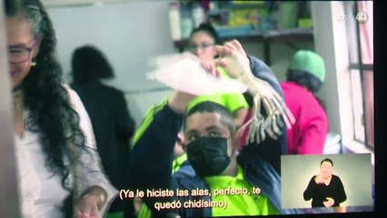 Proyecta documental 'Metamorfosis'; busca visibilizar perfil artístico de personas con discapacidad