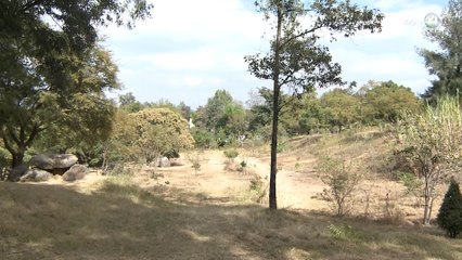 Entregan Galardón "Colibrí" a dos académicos del Centro Universitario de la Costa Sur.