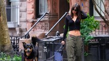 Emily Ratajkowski Added the Lowest Low Rise Pants to Her Signature Outfit Formula