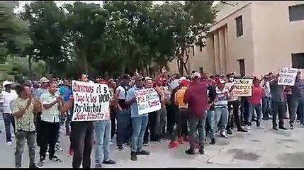 Productores de cebolla protestan frente al Palacio Nacional  2/2