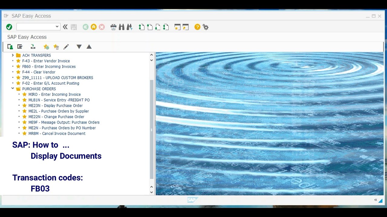 FI Display Document