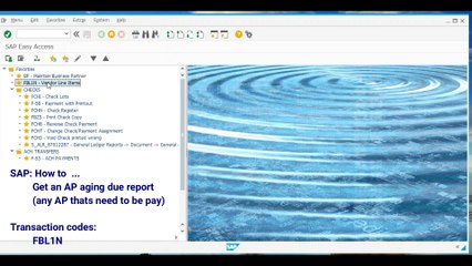 FI Get an AP aging due report (any AP thats need to be pay)