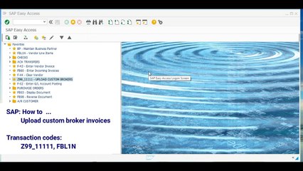FI Upload custom broker invoices