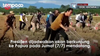 Presiden Jokowi Berencana Kunjungan Kerja ke Papua Pada 7 Juli 2023
