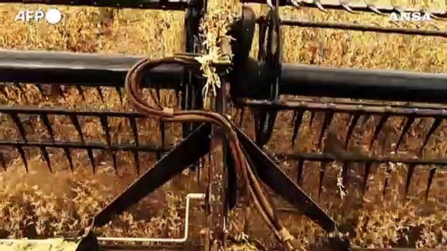 Grande piano agricolo di Lula, opportunita' per l'Italia