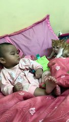 Hilarant : quand ton bébé effraye le chat en éternuant