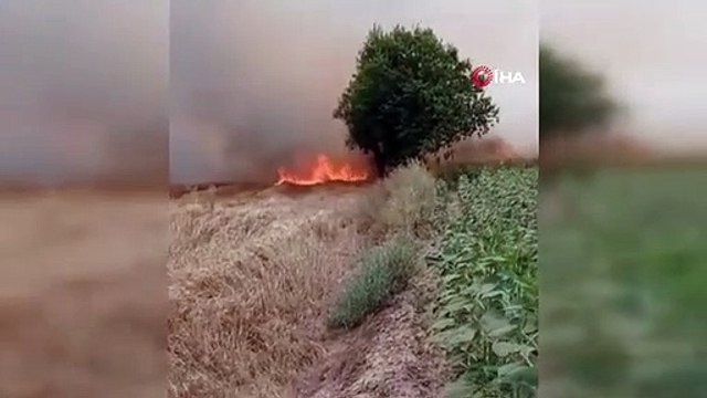 Le feu de chaume s'est propagé au champ de blé, le travail de l'agriculteur s'est transformé en cendres
