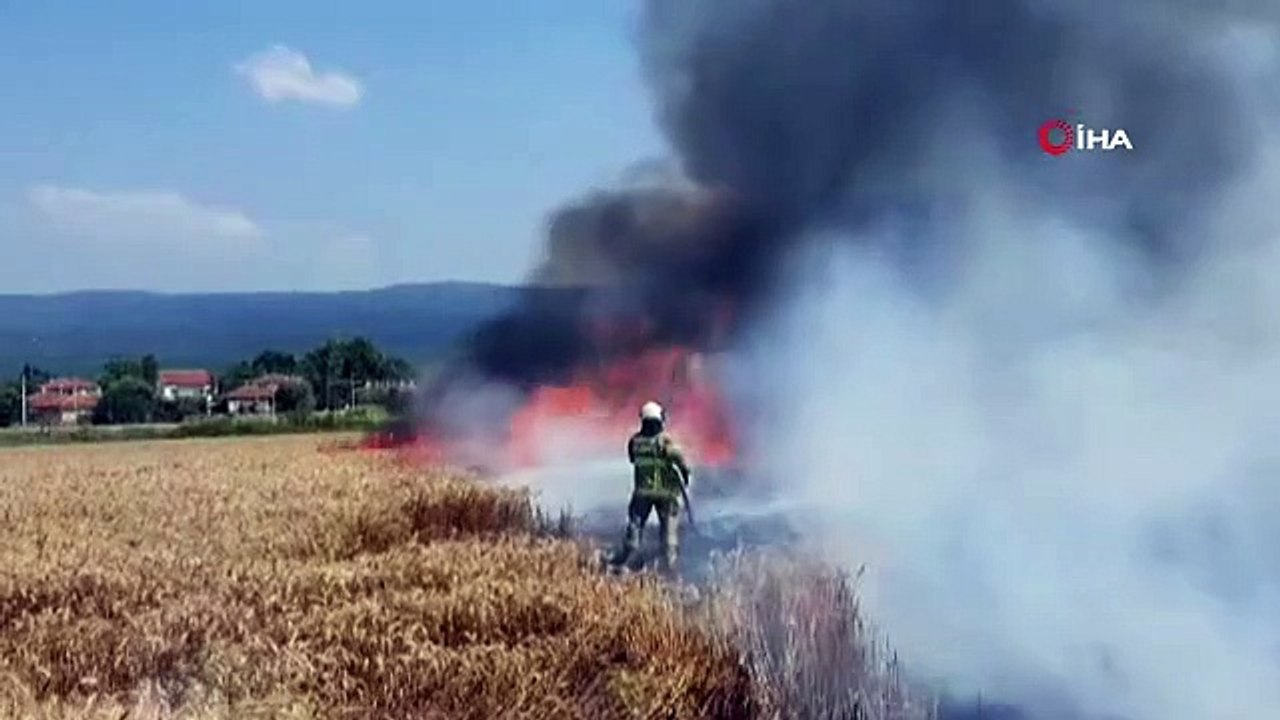 In Balikesir brannten 75 Hektar Weizenfeld nieder