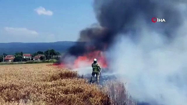 In Balikesir brannten 75 Hektar Weizenfeld nieder
