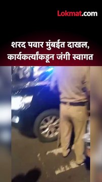 शरद पवार मुंबईत दाखल, कार्यकर्त्यांकडून जंगी स्वागत