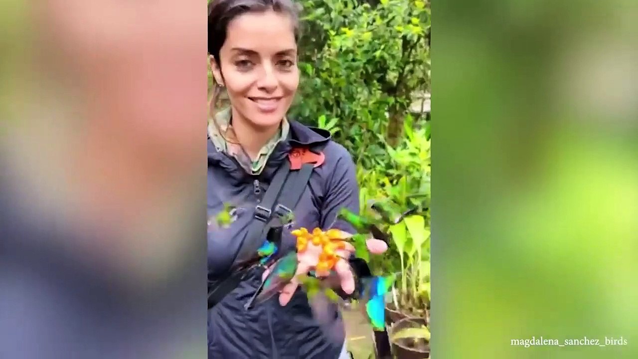 55 Incredible Moments Caught on CCTV Camera