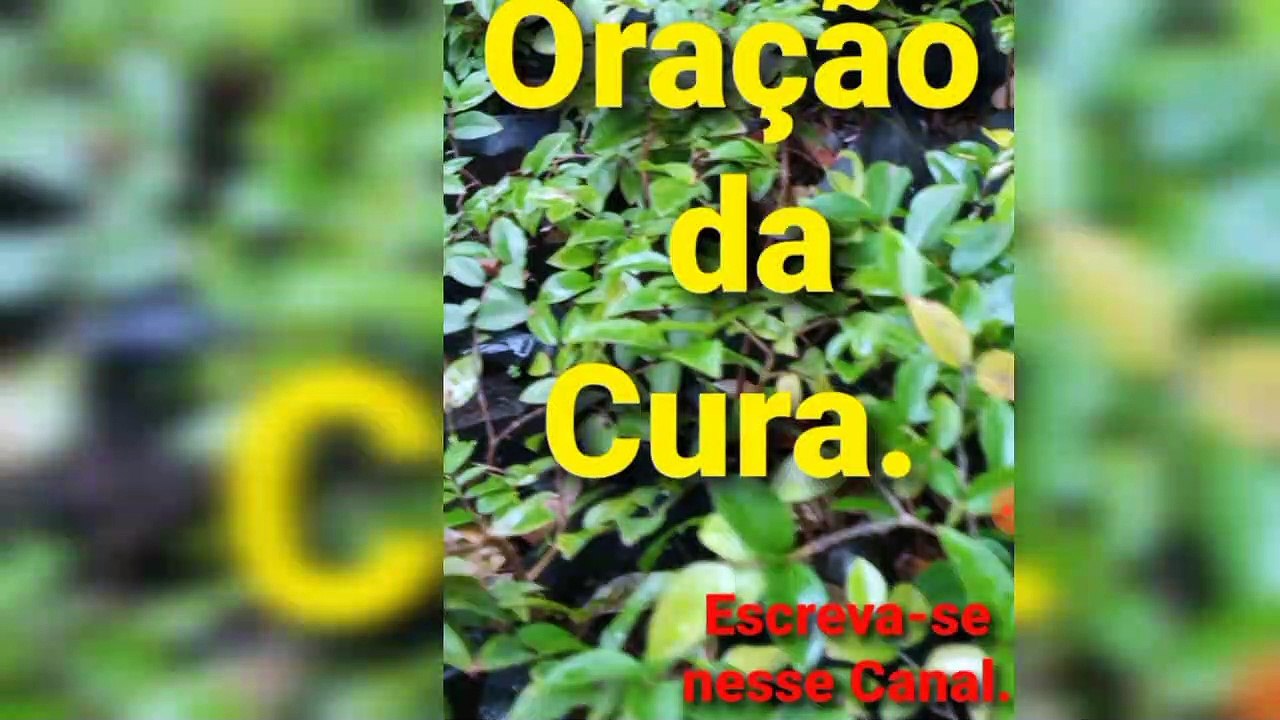 Oração da Cura. Bênçãos de Deus.