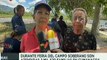Sucre | Feria del Campo Soberano benefició a más de 2 mil familias en Cumanacoa