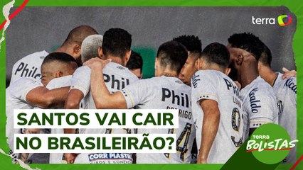 "Problema do Santos é político", afirma Fefux Ribeiro