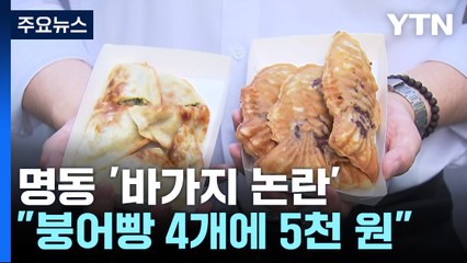 "붕어빵 4개에 5,000원"...명동 물가에 관광객 '울상' / YTN