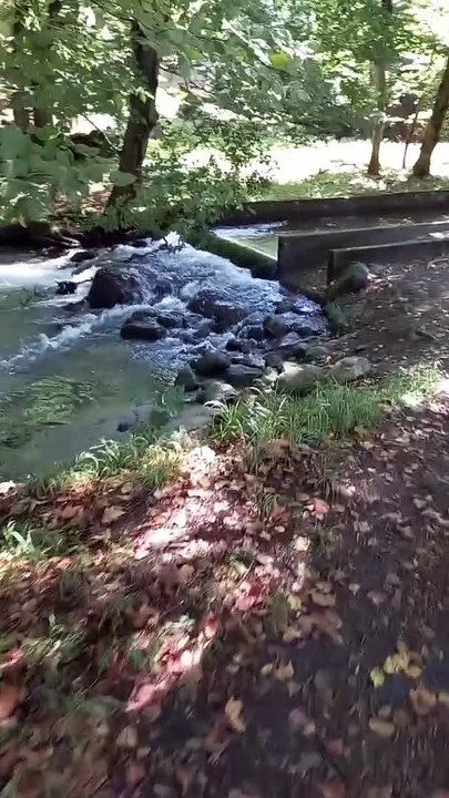 Parc du château de Vizille   Musée de la Révolution française Domaine de Vizille #vizille #france  (11)