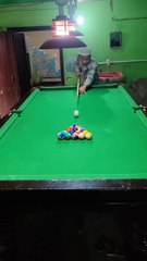 8 Ball Pool Trickshot finish game