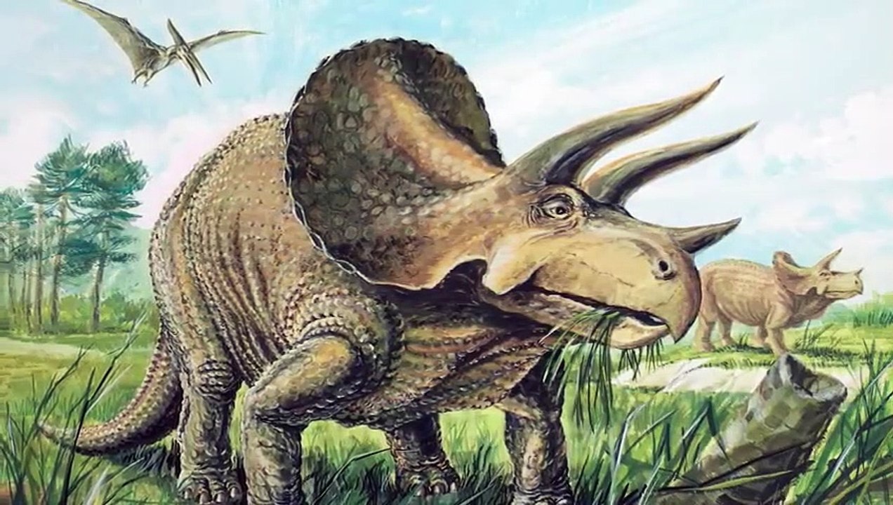 12 Heftigste Kämpfe Der Urzeit - Die Wirklich Stattgefunden Haben