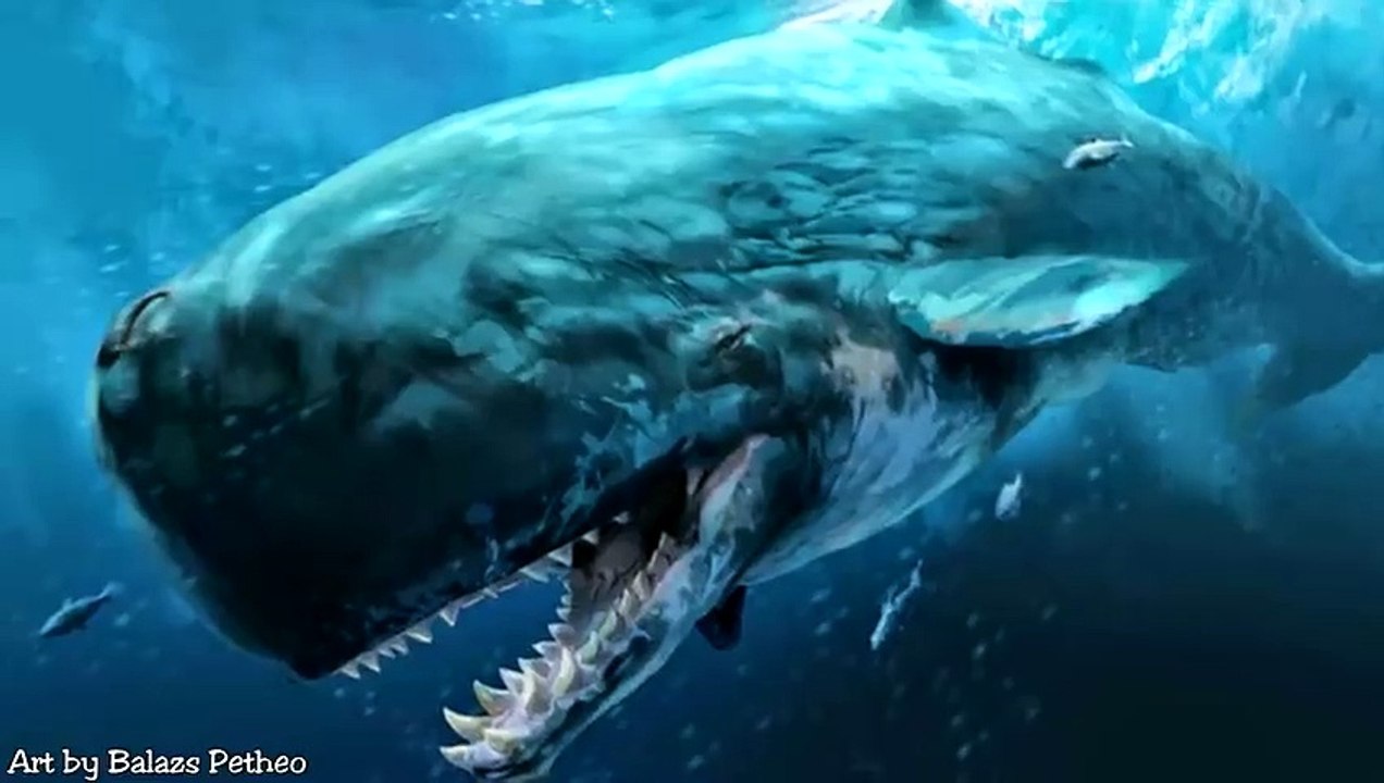 Der Aufstieg & Fall des Livyatan