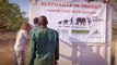 Moving Day - Two Orphan Elephants Are One Step Closer to Release