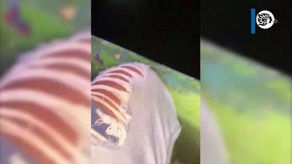 Pescadores de villa Allende no respetan la veda del robalo