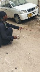 Monkey dance children enjoying(1080P_HD)