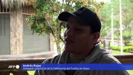 Tribunales y selva, los dos frentes de la batalla contra la minería en la Amazonía de Ecuador