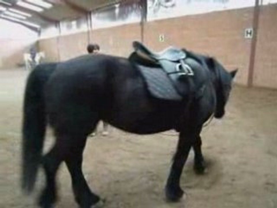 Rencontre étho 23 mars 2008