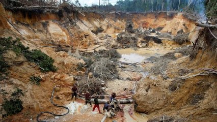 “La gente tiene que pagar vacuna para hacer minería en el Orinoco venezolano”: directora ejecutiva de la Organización SOS Orinoco