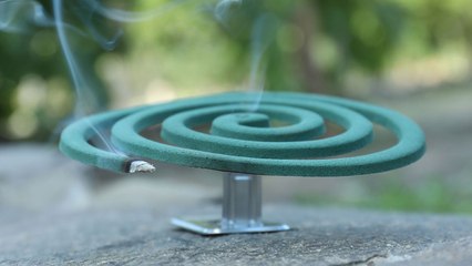 모기향·살충제 '알레트린' 성분 논란..."안전성 다시 검증" / YTN