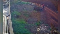 Homem abandona quatro filhotes de cachorro no Cascavel Velho; veja vídeo