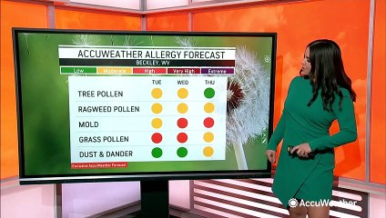 Your latest allergy forecast