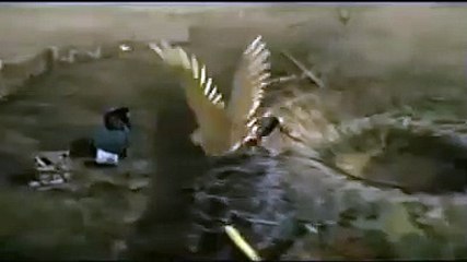 Les héros volants Bande-annonce (EN)